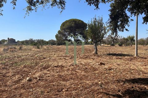 Ruïna a Carovigno, Brindisi, Carovigno - € 225.000 | Ref: Casolare e Trul - foto 23
